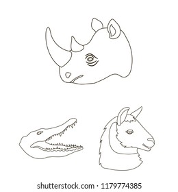Wild animal outline icons in set collection for design. Mammal and bird vector symbol stock web illustration.