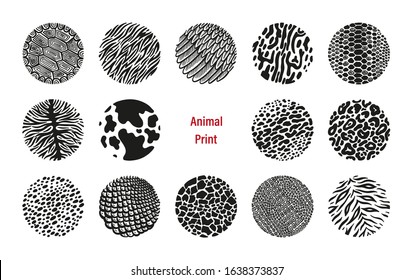 Wild Animal Print Circles Vector Set
