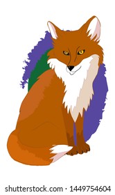 Wild animal, red fox that sits on its hind legs. Forest beast, sly fox on a colored background.