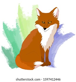 Wild animal, red fox that sits on its hind legs. Forest beast, sly fox on a colored background.