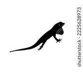 Wild animal reptiles anoles icon | Black Vector illustration |