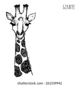 Wild animal safari. Black and white giraffe face drawn pen and ink on a white background Vector  illustration eps10