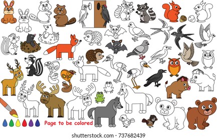 Wild Animal Set to be colored, the coloring book for preschool kids with easy educational gaming level.