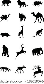 Wild animal set vector on white background