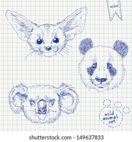 Wild animal set in vector. Sketch illustration of panda, koala and fox with large ears on squared paper