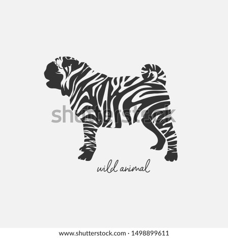 Similar – Foto Bild Zebrastreifen