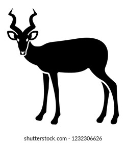 Wild animal, stag or a male deer