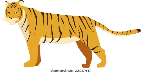 Wild animal tiger illustration material