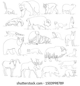 wild animal. vector images of different animals. one line. set