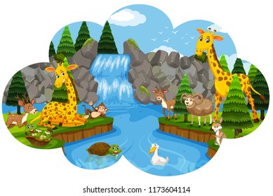 Wild animal at the waterfall illustration