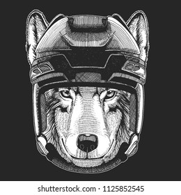 Wild animal wearing hockey helmet. Print for t-shirt design.