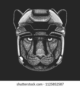Wild animal wearing hockey helmet. Print for t-shirt design.