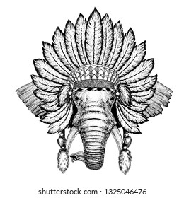 Wild animal wearing inidan headdress with feathers. Boho chic style illustration for tattoo, emblem, badge, logo, patch. Children clothing.