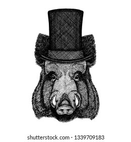 Wild animal wearing top hat, cylinder. Hipster aper, boar, hog