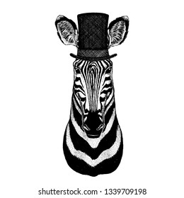 Wild animal wearing top hat, cylinder. Hipster zebra