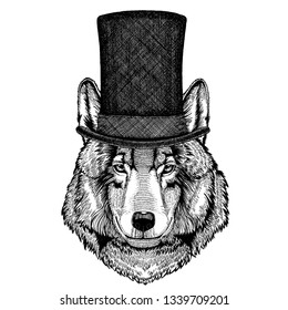 Wild animal wearing top hat, cylinder. Hipster wolf