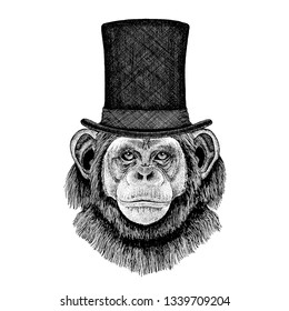 Wild animal wearing top hat, cylinder. Hipster chimpanzee, monkey,