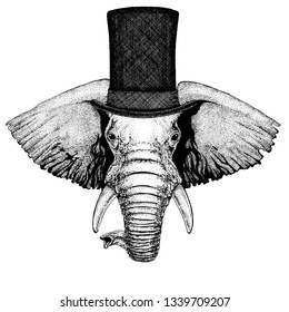 Wild animal wearing top hat, cylinder. Hipster elephant