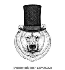 Wild animal wearing top hat, cylinder. Hipster polar bear