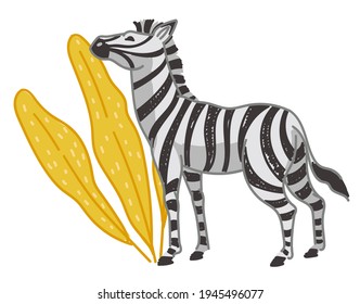 Wild animal zebra grazing, eating fresh foliage leaves of bushes or shrubs in natural reservation. Savanna or grassland, zoo or habitat with flora and fauna. National park. Vector in flat style