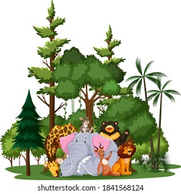 Wild animal or zoo animal group with nature elements on white background illustration