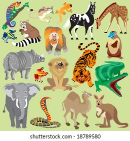 Wild Animals 1