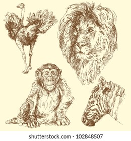wild animals
