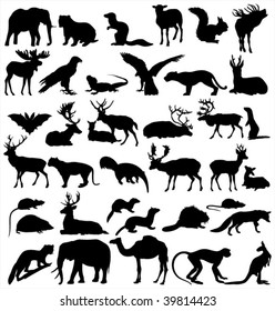 Wild Animals Stock Vector (Royalty Free) 39814423 | Shutterstock