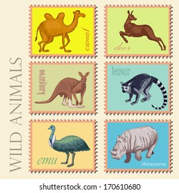 Wild animals from Africa and Australia