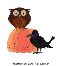 Wild animals and autumn season cartoons owl and crow on pumpkin vector illustration graphic design