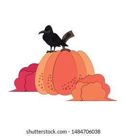 Wild animals and autumn season cartoons crow on pumpkin and bushes vector illustration graphic design