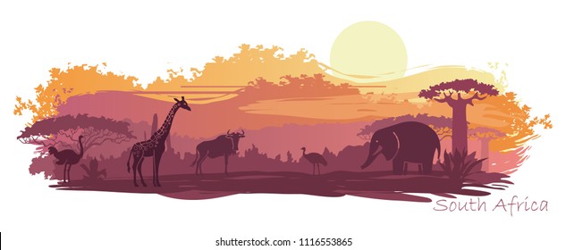 Wild animals in the backdrop of the African sunset