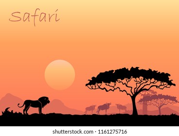 Wild animals in the backdrop of the African sunset
