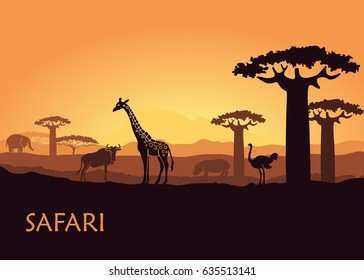 Wild animals in the backdrop of the African sunset