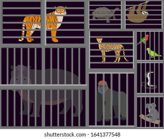 Wild animals beasts captured in cages vector illustration. Sad animals tiger, hippopotamus, cheetah, gorilla, sloth, turtle, koala, cobra snake, parrots birds caged in zoo cells.