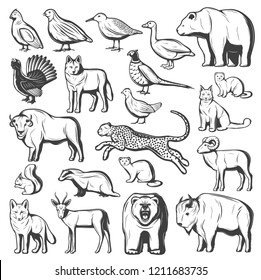 Wild animals and birds, hunting sport. Vector monochrome bear, wolf and cheetah, buffalo, lynx and bison, pheasant, quail and goose, gazelle, grizzly and fox, squirrel, mink and sable