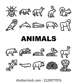 Wild Animals, Birds And Insects Icons Set Vector. Alligator Reptile And Cobra Snake, Hippopotamus And Dolphin Marine Mammal Animals, Squirrel And Chameleon Black Contour Illustrations