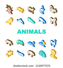 Wild Animals, Birds And Insects Icons Set Vector. Alligator Reptile And Cobra Snake, Hippopotamus And Dolphin Marine Mammal Animals, Squirrel And Chameleon Isometric Sign Color Illustrations