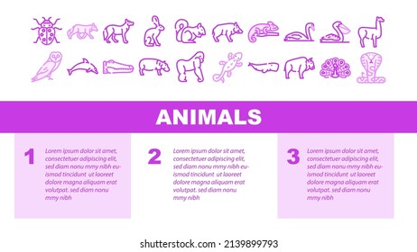 Wild Animals, Birds And Insects Landing Web Page Header Banner Template Vector. Alligator Reptile And Cobra Snake, Hippopotamus And Dolphin Marine Mammal Animals, Squirrel Chameleon Illustration