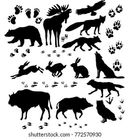 Wild animals and birds silhouette