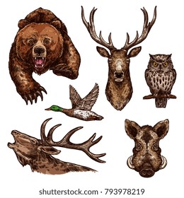 Wild animals and birds sketch icons. Vector isolated set of grizzly bear, elk antlers or deer and owl with duck, aper or hog boar for hunting open season or wildlife zoo and hunt adventure