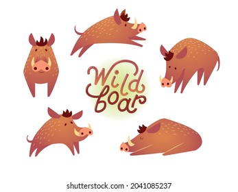 Wild animals boar vector flat design illustration. Set of cute boar illustrations