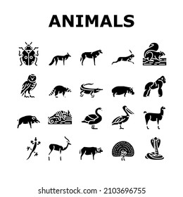 Wild Animals, Bugs And Birds Icons Set Vector. Alligator Reptile And Cobra Snake, Lama And Antelope, Gorilla And Hippopotamus Wild Animals. Chameleon And Lizard Glyph Pictograms Black Illustrations