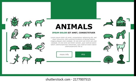 Wild Animals, Bugs And Birds Landing Web Page Header Banner Template Vector. Alligator Reptile And Cobra Snake, Lama And Antelope, Gorilla And Hippopotamus Wild Animals Line. Chameleon Illustration