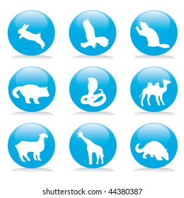 Wild animals buttons set