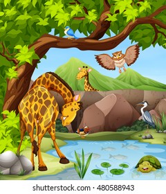 Wild animals by the pond illustration