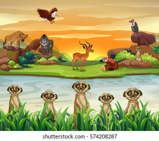 Wild animals by the river illustration