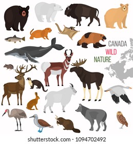 Wild animals of Canada color flat icons set