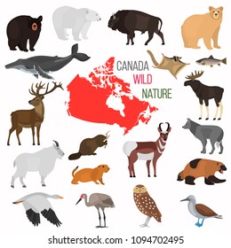 Wild animals of Canada color flat icons set