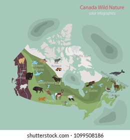 Wild animals of Canada color infographics